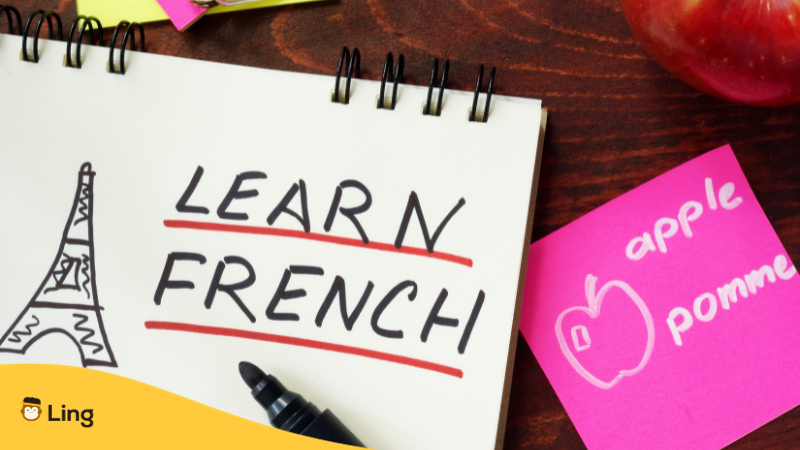 Best Apps To Learn French In 2023 Why Learn