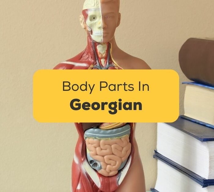 Body parts in georgian