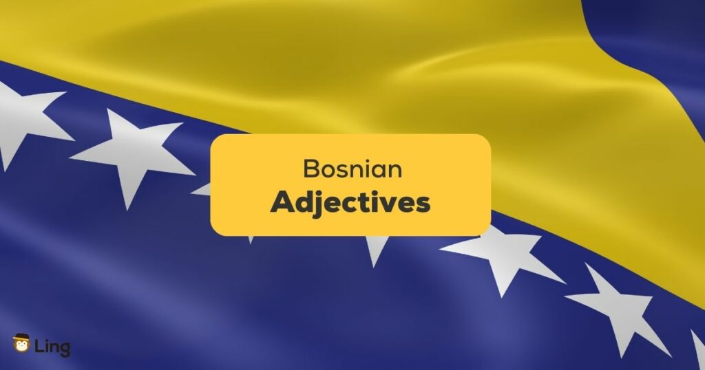 Bosnian Adjectives