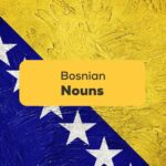 Bosnian-Nouns-ling-app-art-bosnian-flag
