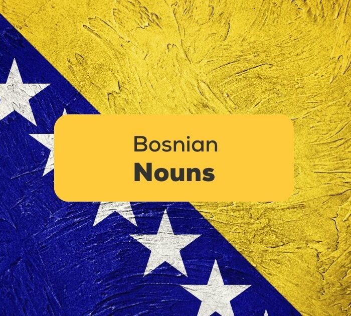 Bosnian-Nouns-ling-app-art-bosnian-flag