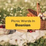 Bosnian Words For Picnic Food