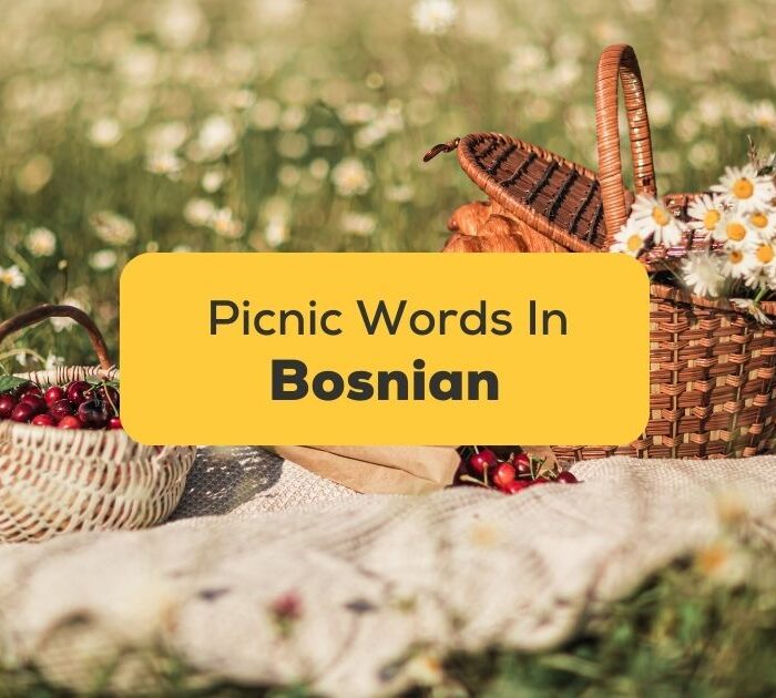 Bosnian Words For Picnic Food