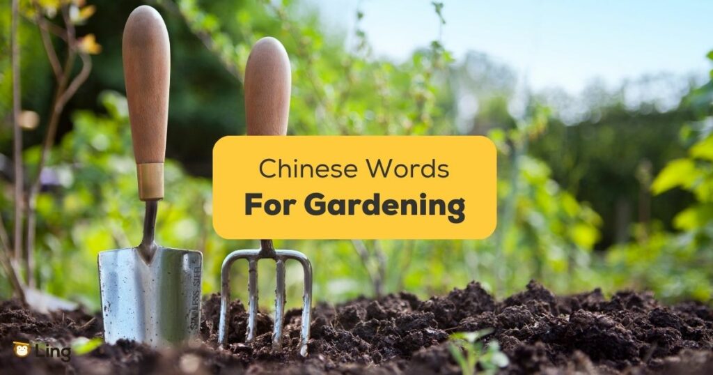 Chinese Words For Gardening