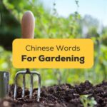 Chinese Words For Gardening