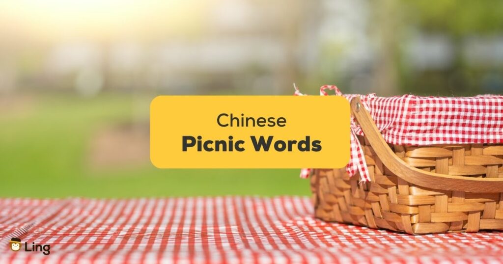 Chinese words for picnic