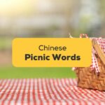 Chinese words for picnic