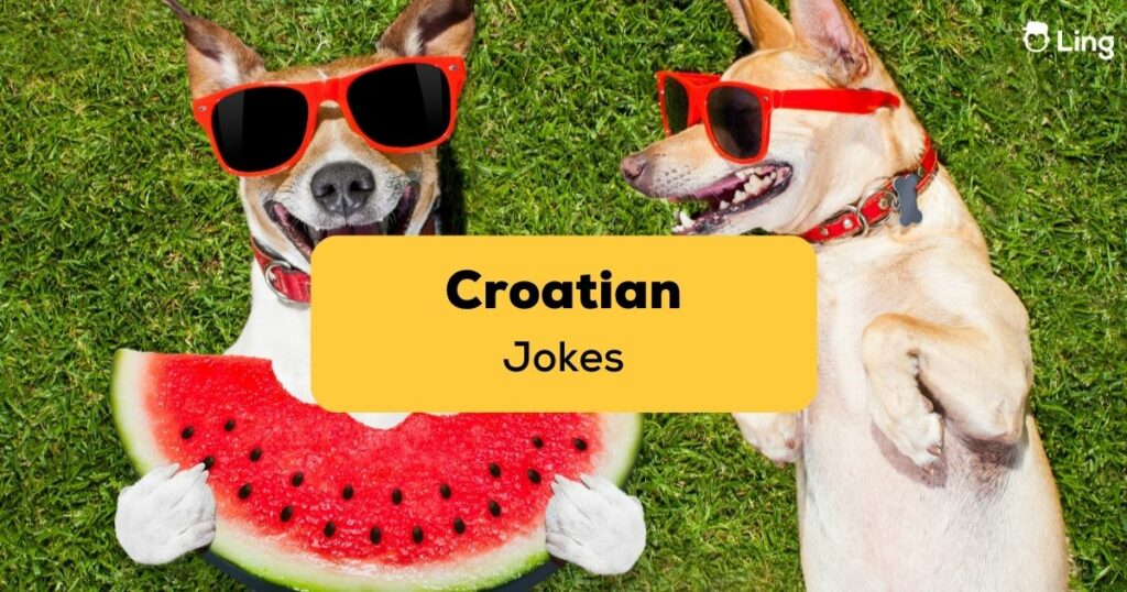 Croatian jokes