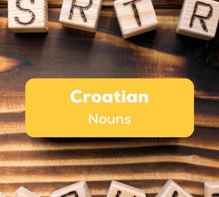 Croatian nouns