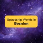 Easy Bosnian Spaceship Words