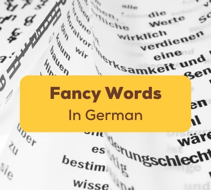 Fancy German Words Ling App