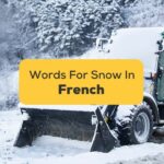 French Words For Snow