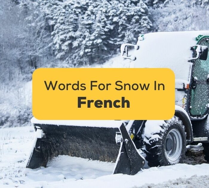 French Words For Snow