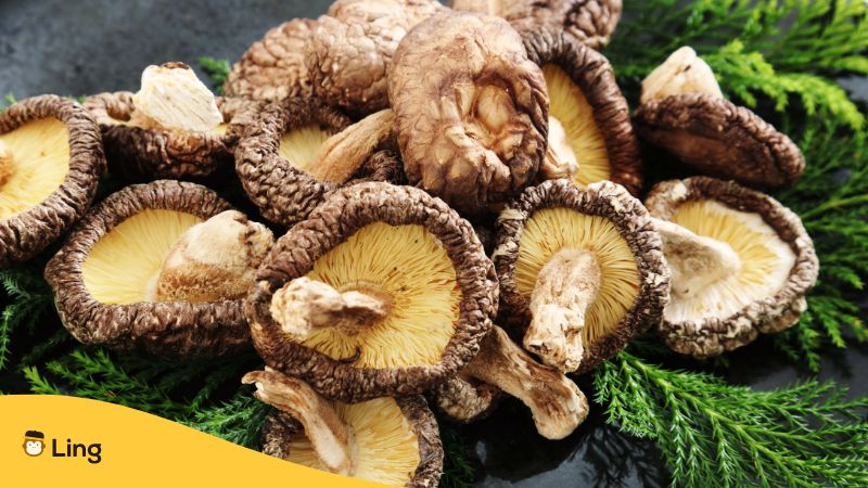 Fungi And Mushrooms In Bosnian Cuisine