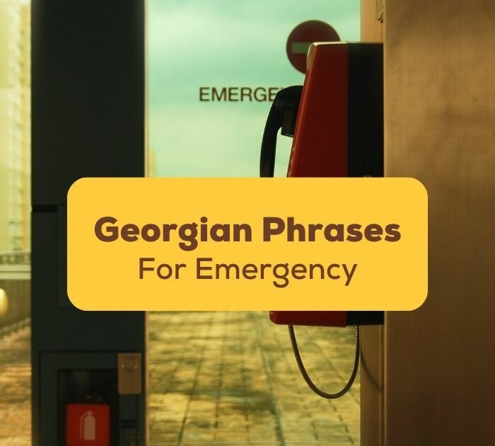 Georgian phrases for emergency