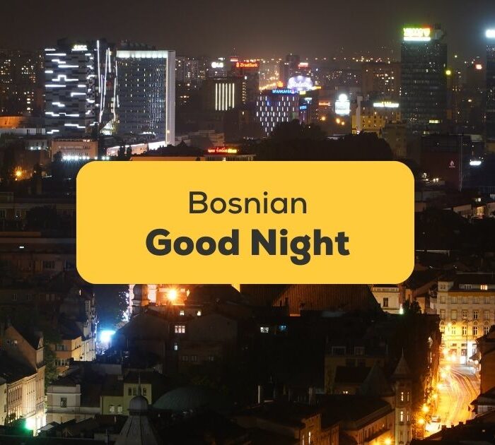 Good-Night-In-Bosnian-ling-app-sarajevo-night-landscape