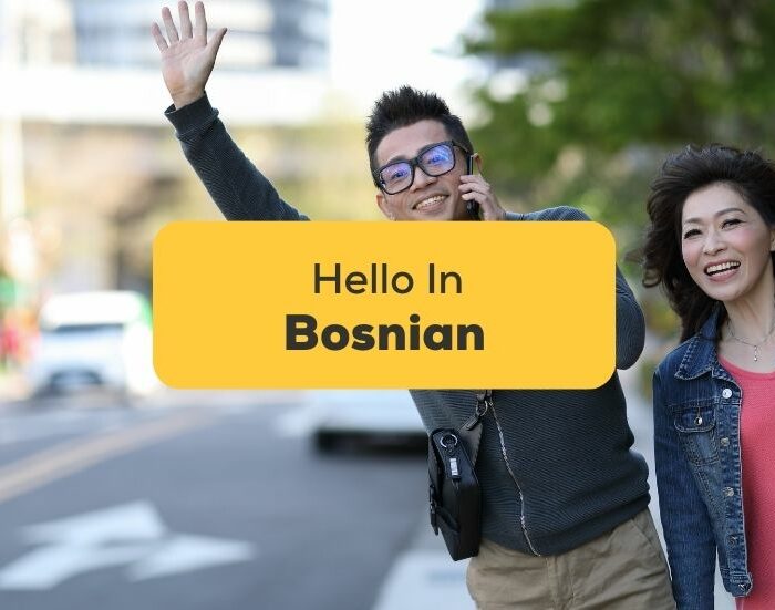 Hello In Bosnian