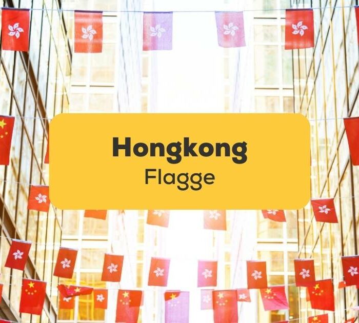 Lerne alles über die Hongkong Flagge mit der Ling-App