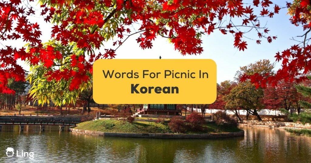 Korean Words For Picnic Day