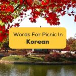 Korean Words For Picnic Day