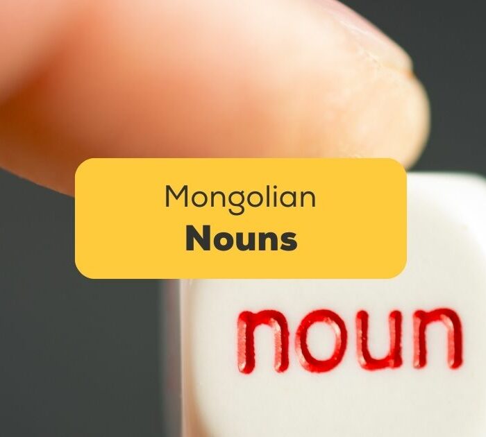 Mongolian Nouns