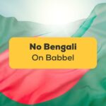 No Bengali On Babbel-ling-app-flag