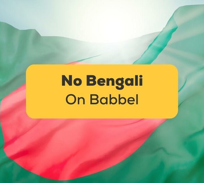 No Bengali On Babbel-ling-app-flag