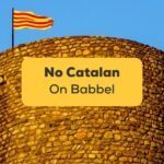 No Catalan On Babbel-ling-app-flag