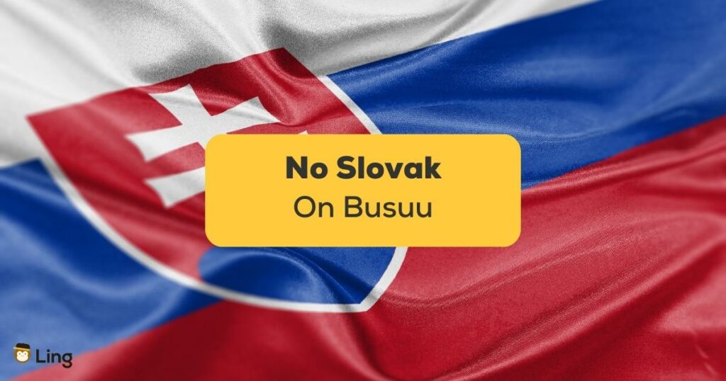No Slovak On Busuu-ling-app-flag