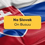 No Slovak On Busuu-ling-app-flag