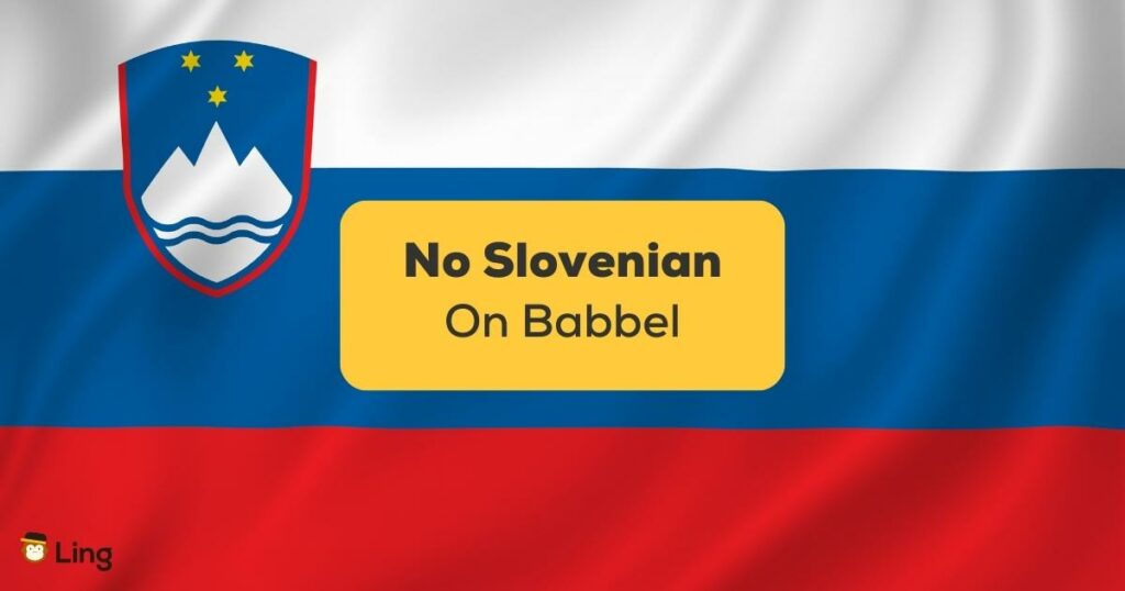 No Slovenian On Babbel-ling app-flag