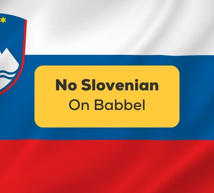 No Slovenian On Babbel-ling app-flag