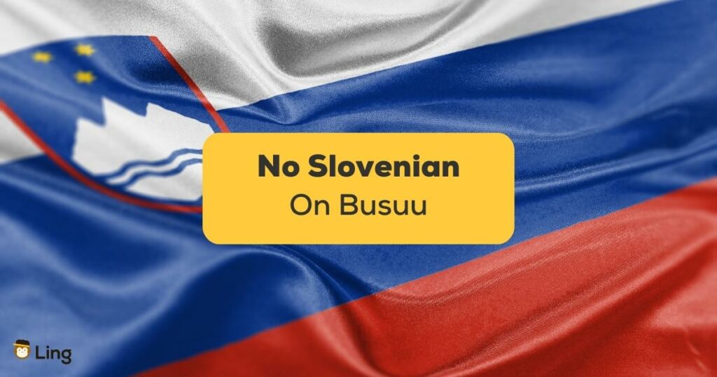 No Slovenian On Busuu-ling-app-flag