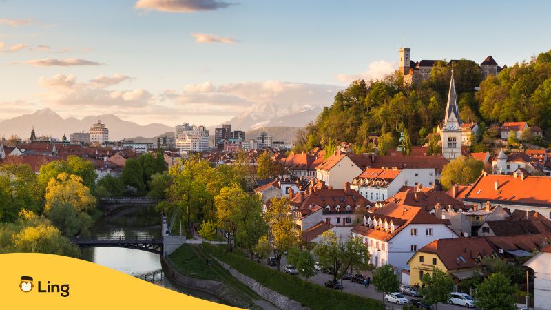 Slovenian Restaurant Vocabulary 2 1