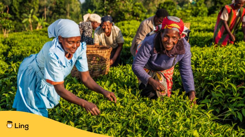 Swahili nouns_Ling app_farmers