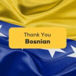 Thank you in Bosnian-ling-app-bosnian-flag