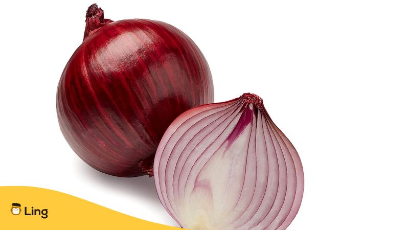 Vegetables in Croatian Ling App onion