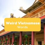 Weird Vietnamese words Ling app