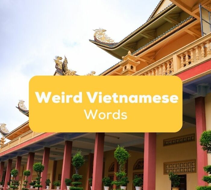 Weird Vietnamese words Ling app