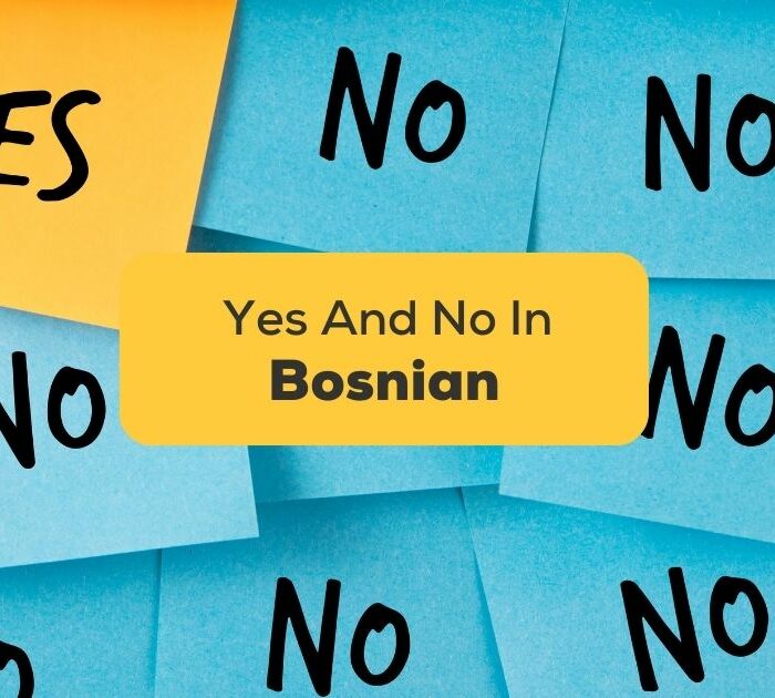 Yes And No In Bosnian