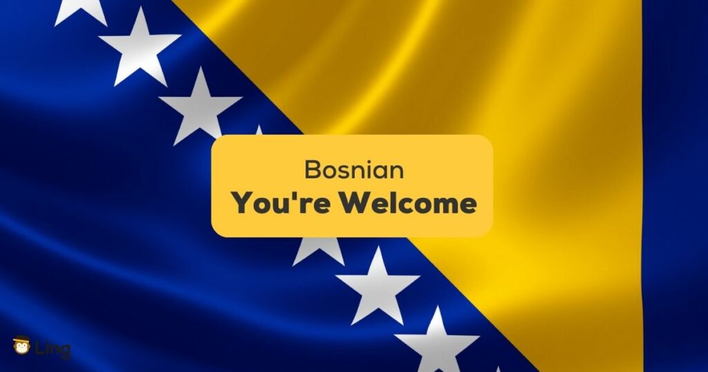 You're-Welcome-In-Bosnian-ling-app-bosnian-flag-with-text