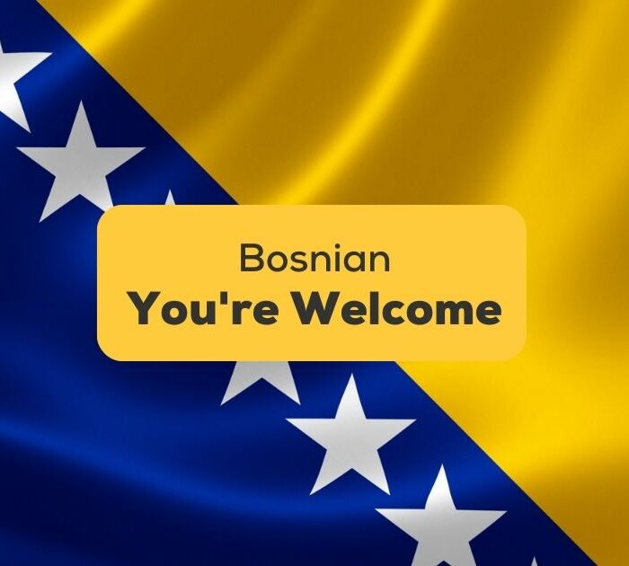 You're-Welcome-In-Bosnian-ling-app-bosnian-flag-with-text