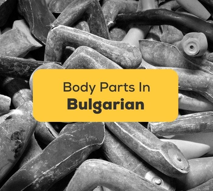 body parts in bulgarian