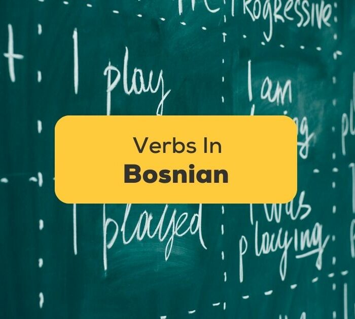 bosnian verbs