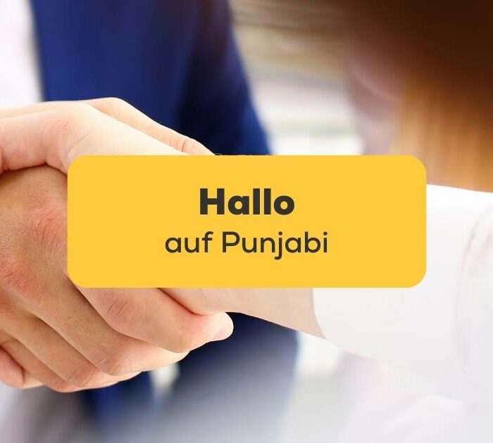 Hände schütteln und Hallo auf Punjabi sagen lernen mit Ling