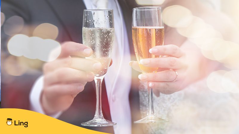 bride and groom holding glasses of wine doing wine toasting during their wedding