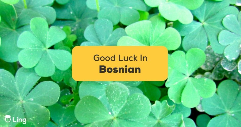 good luck in bosnian