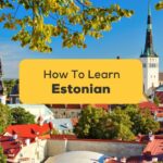 how to learn estonian fast
