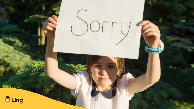 how to say sorry in bosnian