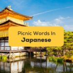 japanese words for picnic
